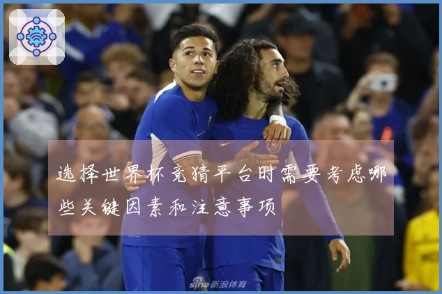 选择世界杯竞猜平台时需要考虑哪些关键因素和注意事项