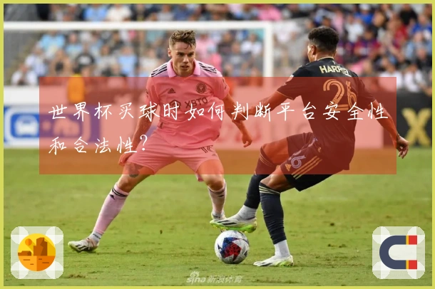 世界杯买球时如何判断平台安全性和合法性？